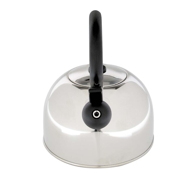 CALDERA ACERO INOXIDABLE 2.5 LTS. DELIZIE PLATA
