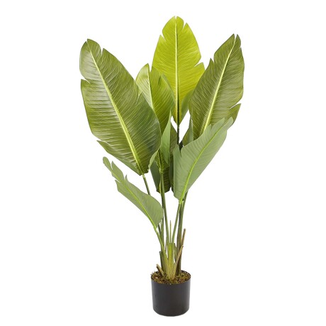STRELITZIA ARTIFICIAL VERDE ARTIFICIAL Y8480-8-3PS