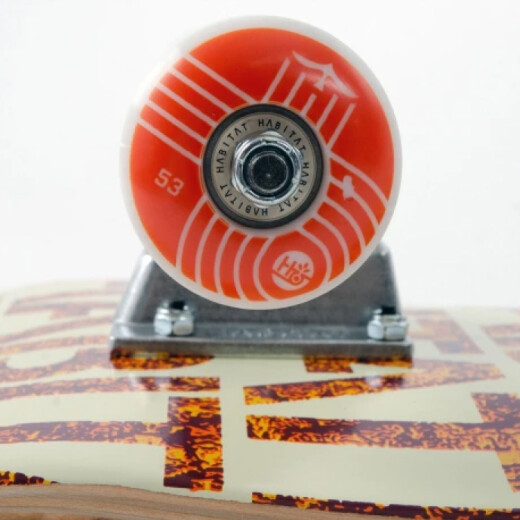 Skate Completo Habitat Insecta 8.0" Skate Completo Habitat Insecta 8.0"