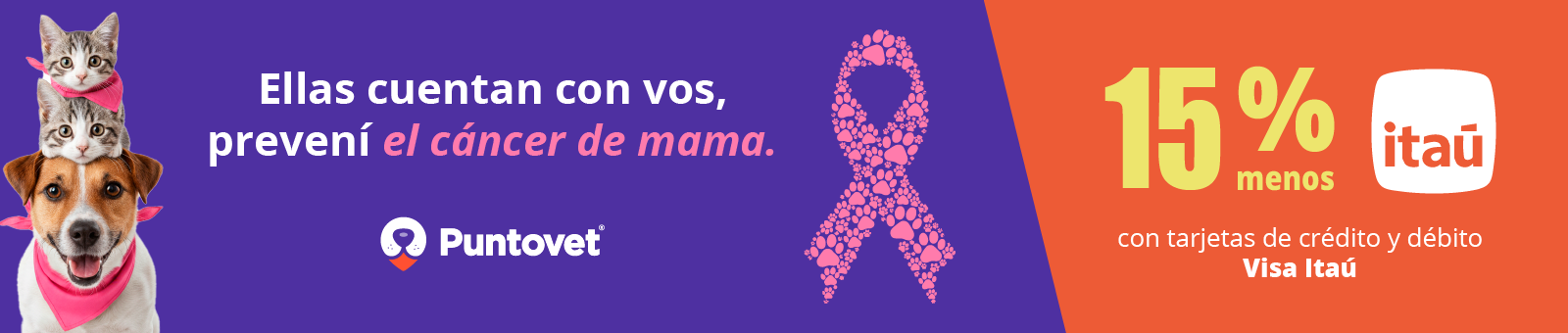 Octubre Rosa
