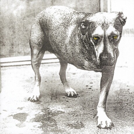 Alice In Chains - Alice In Chains - Vinilo Alice In Chains - Alice In Chains - Vinilo