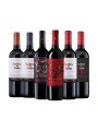 Pack Bacán Favoritos del año: Casillero del Diablo x6 vinos Pack Bacán Favoritos del año: Casillero del Diablo x6 vinos