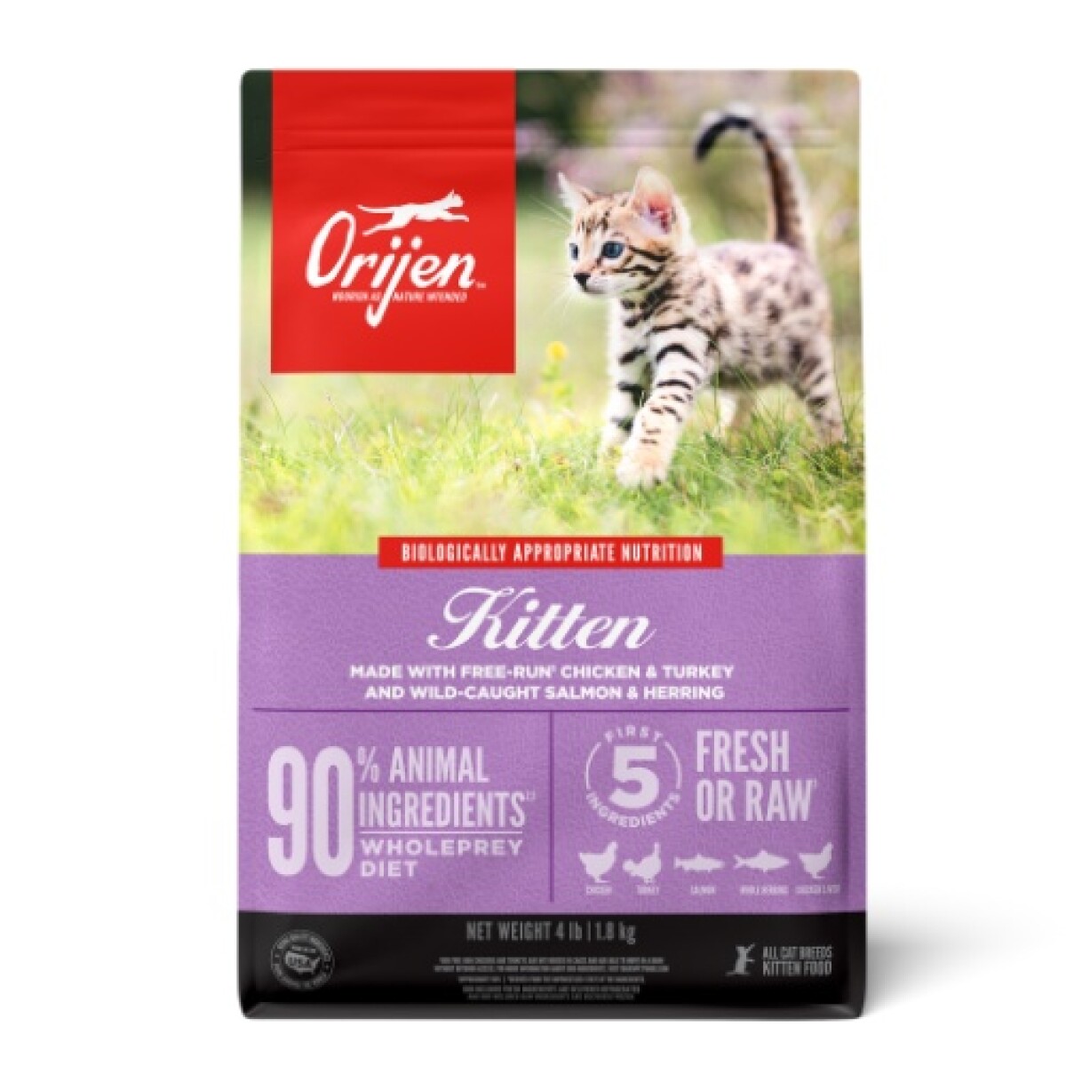 ORIJEN Kitten 4,5LB - Orijen Kitten 4,5lb 