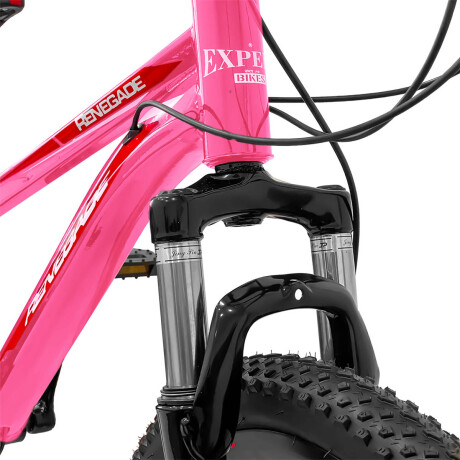 Bicicleta Montaña Rodado 20 Frenos Disco 21 Cambios Rosa