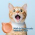 COMEDERO PARA GATO COMEDERO PARA GATO