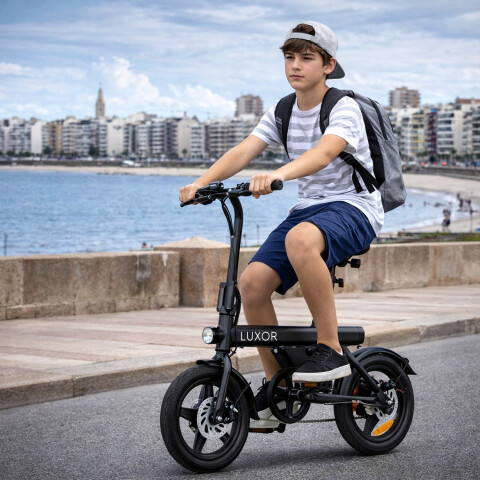 Bicicleta Eléctrica Luxor Eb9 350w 120kg BICICLETA ELECTRICA LUXOR EB9 350W