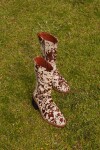 City Boots Print Blanco / Marrón