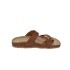 26013348030137 CAMEL