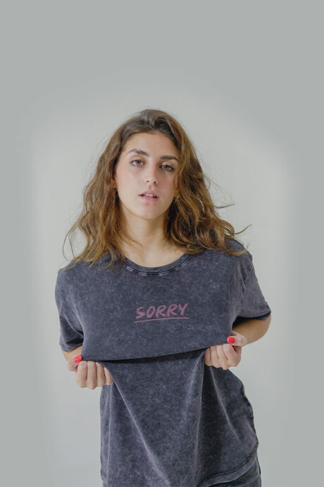 Remera Pulau Sorry Gris