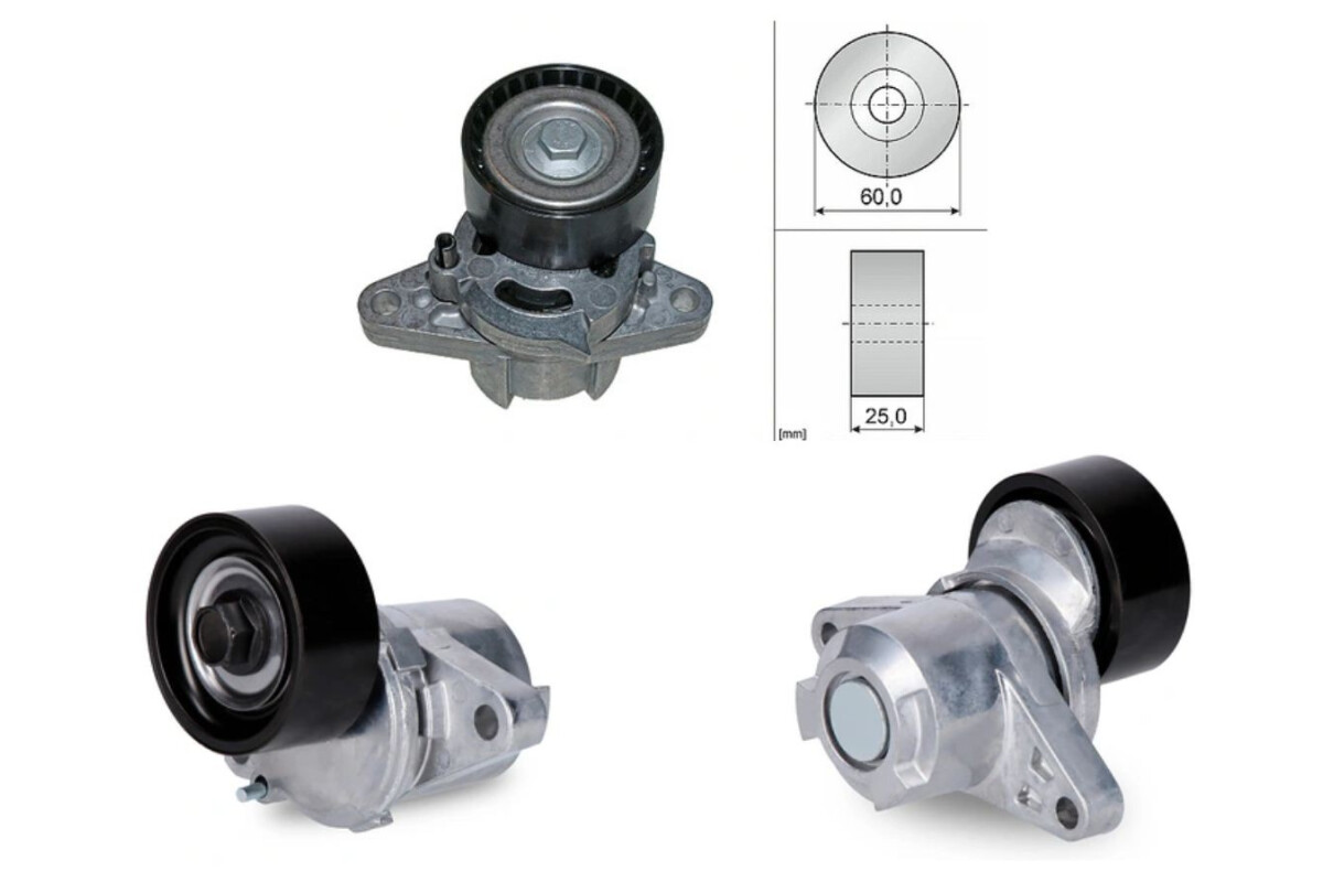 Tensor Correa de Accesorios Renault Clio/Express/Kangoo/Laguna/Logan/Megane/Scenic/Symbol 03-25 Tensor Correa de Accesorios Renault Clio/Express/Kangoo/Laguna/Logan/Megane/Scenic/Symbol 03-25