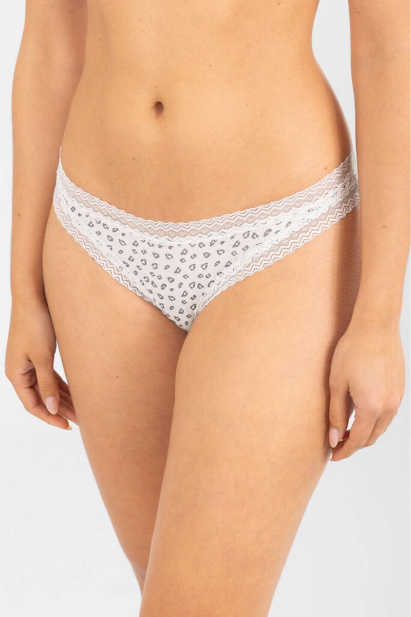 Colaless bloom - Gris 