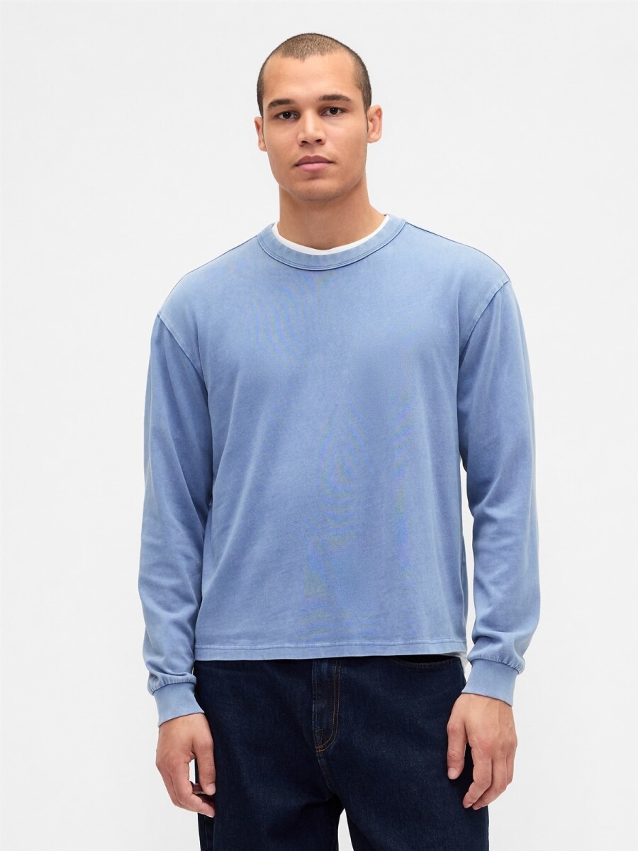 Remera Manga Larga Heavyweight Hombre - Cornflower829 