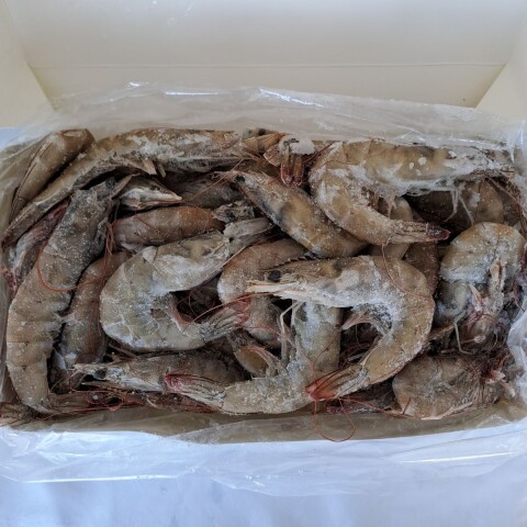 LANGOSTINO ENTERO VANNAMEI 30/40 pcs/kg - 2 KG Langostino Entero Vannamei 30/40 Pcs/kg - 2 Kg