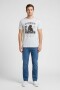 Camiseta estampada Pantera GRIS MELANGE
