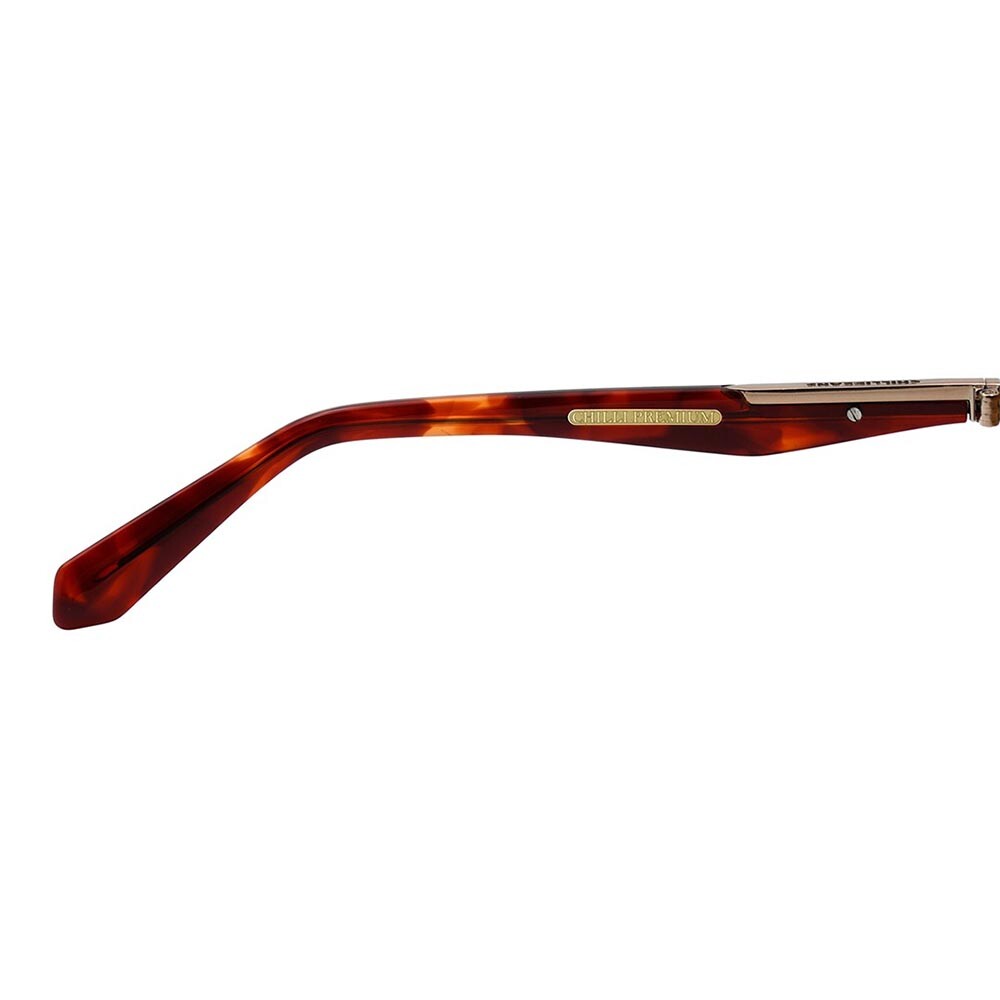 Lentes de sol De Acero Inoxidable Cuadrado Premium Marrón/Marrón