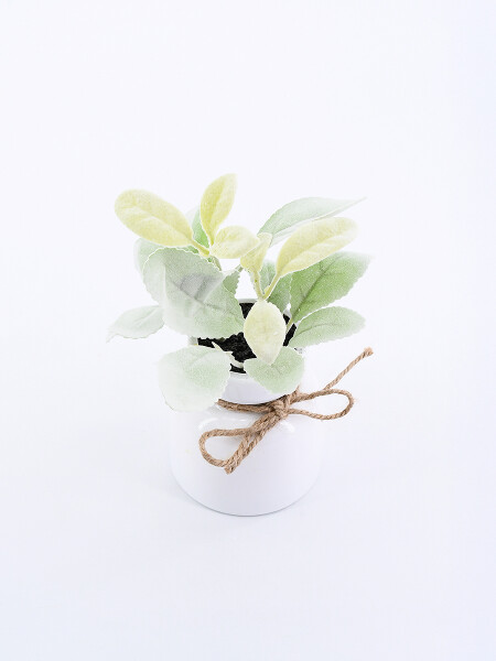 PLANTA CON MACETA VERDE