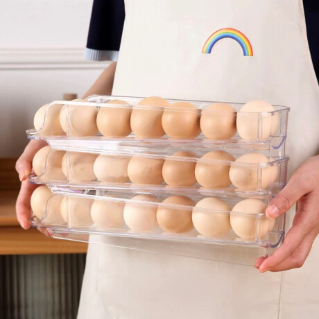 Huevera vertical con inclinación para 21 huevos Sc