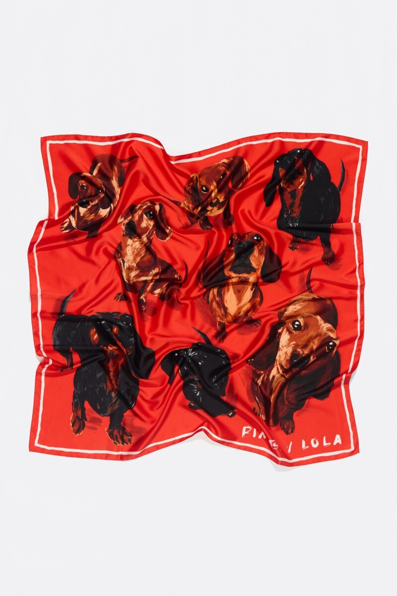 PAÑUELO Rojo