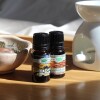 Aceite 10ml hornito Sándalo