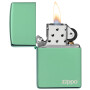 Encendedor ZIPPO 28129ZL Verde 0