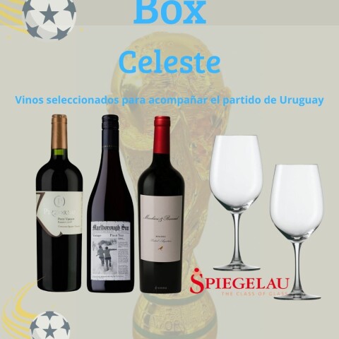 Box Celeste Box Celeste