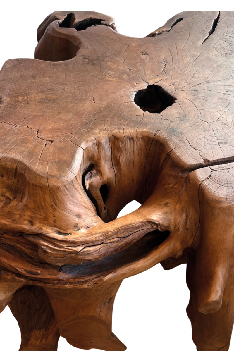 RAIZ MESA DE LIVING RAIZ 22632 80X60X45H CM