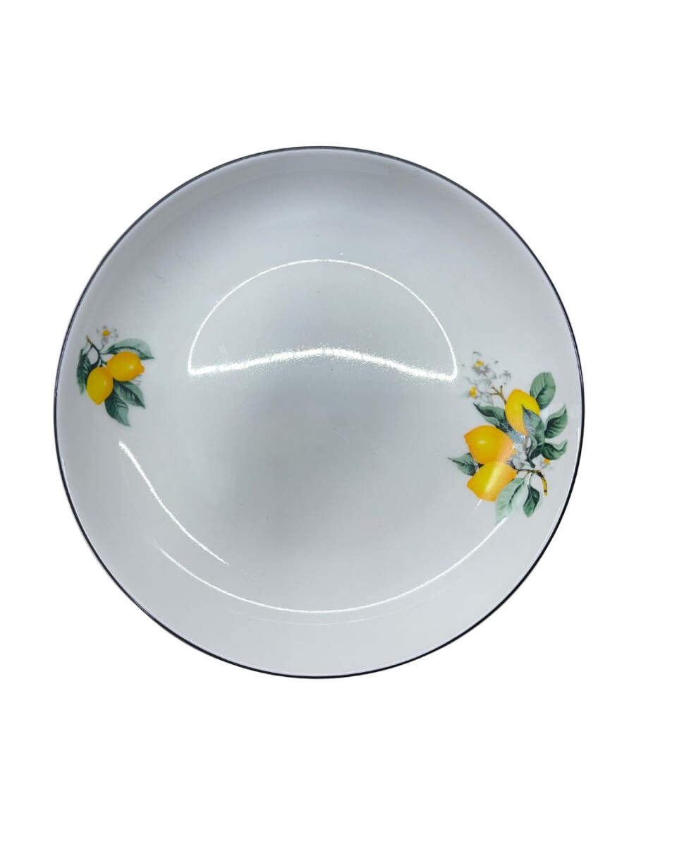 PLATO PLAYO DE PORCELANA • 25cm 