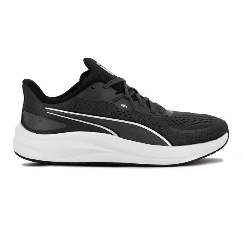 Puma Calzado Skyrocket Lite 2 Gris-Plateado