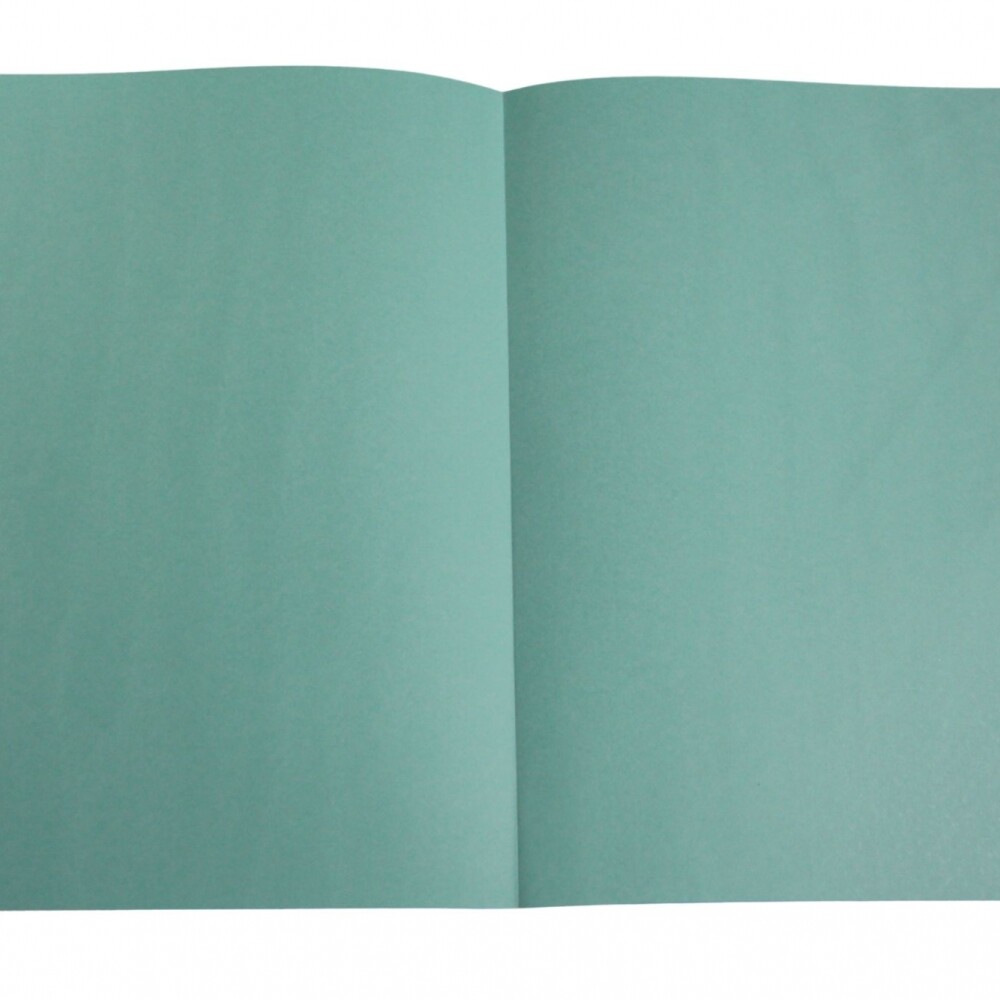 DOCENA DE CARPETAS DE CARTULINA PARA ESCRIBANIA COLOR VERDE