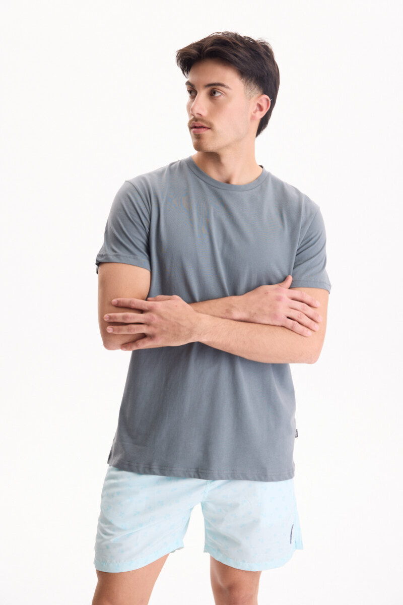 Remera Palmira Gris