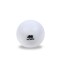 Bocha de Hockey oficial Blanco