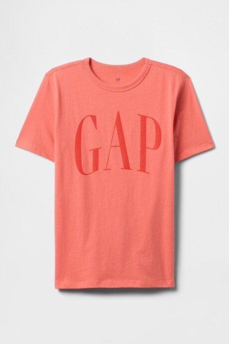 Remera Logo Gap Niño Watermelon Ice