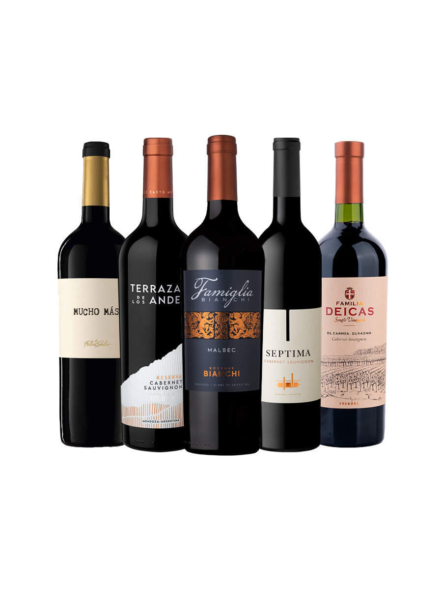 Pack Bacán Selección x5 vinos Elegidos del Mes Pack Bacán Selección x5 vinos Elegidos del Mes