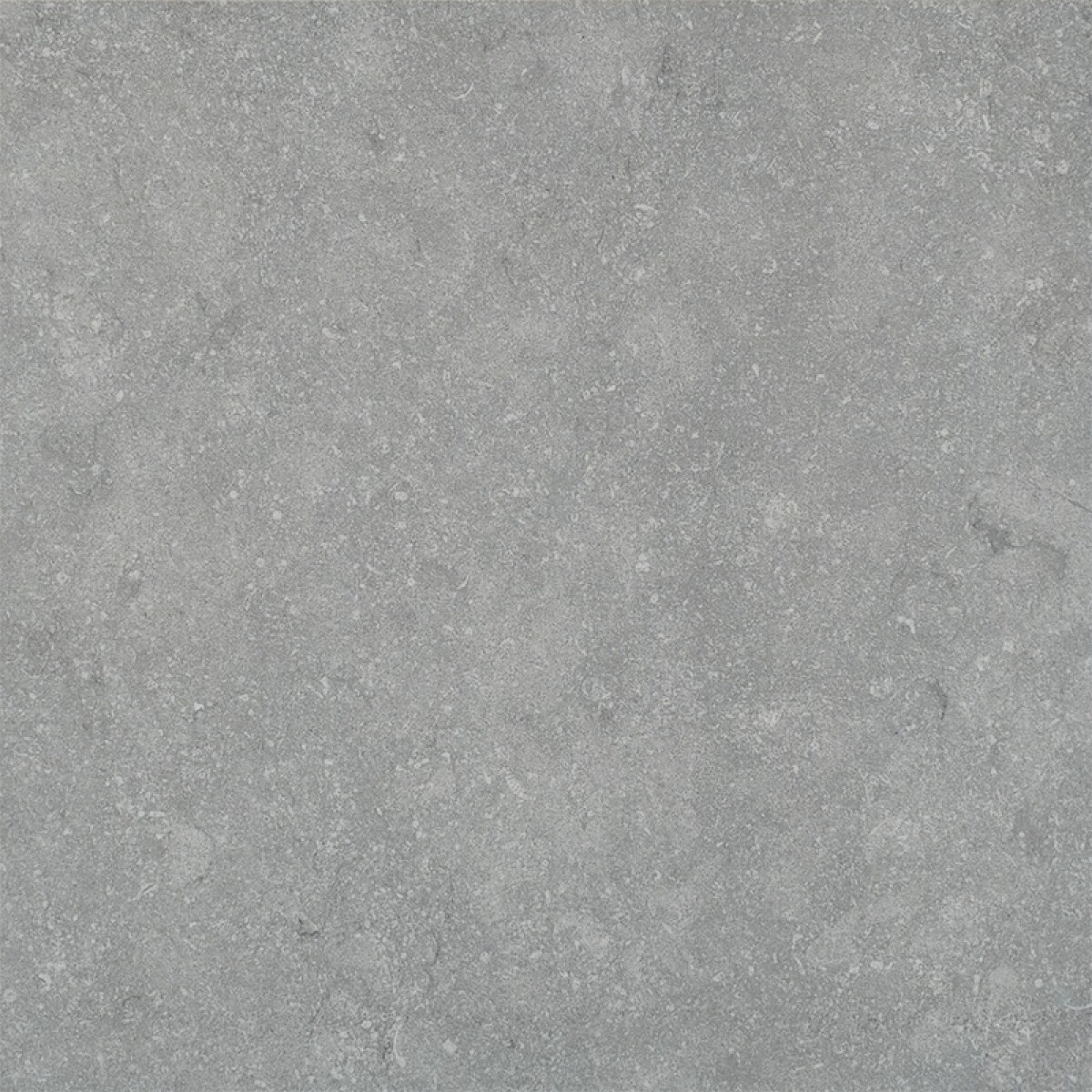 Porcelanato Stone Globo Grey "a" 60x60x2 Cm 