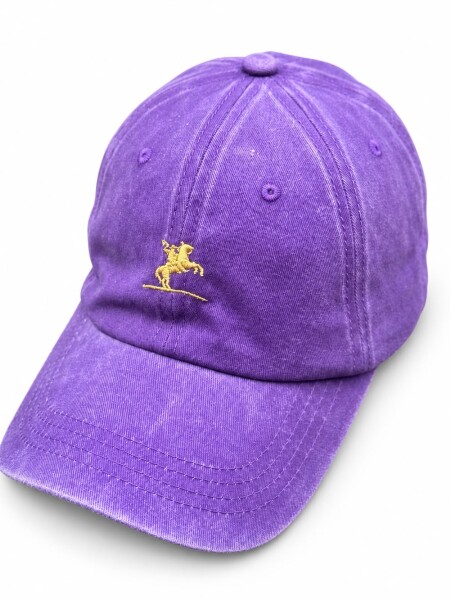 Gorra Visera Bagual Violeta