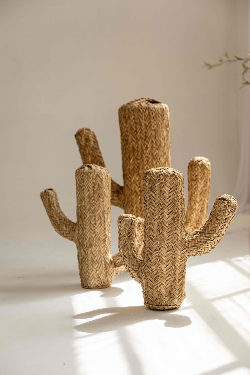 Set de Cactus 