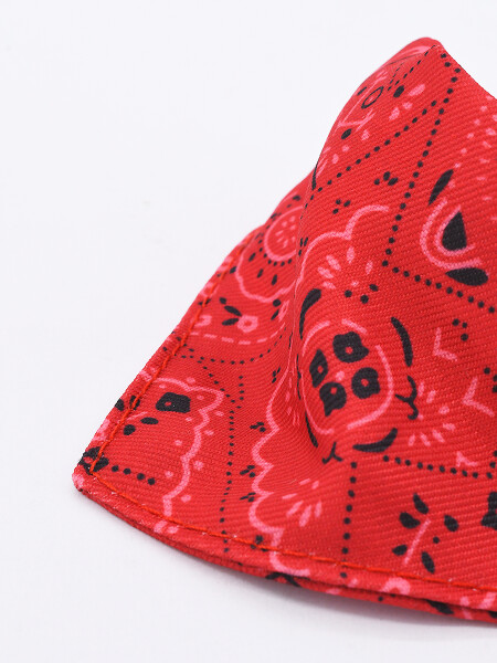 COLLAR BANDANA ROJO