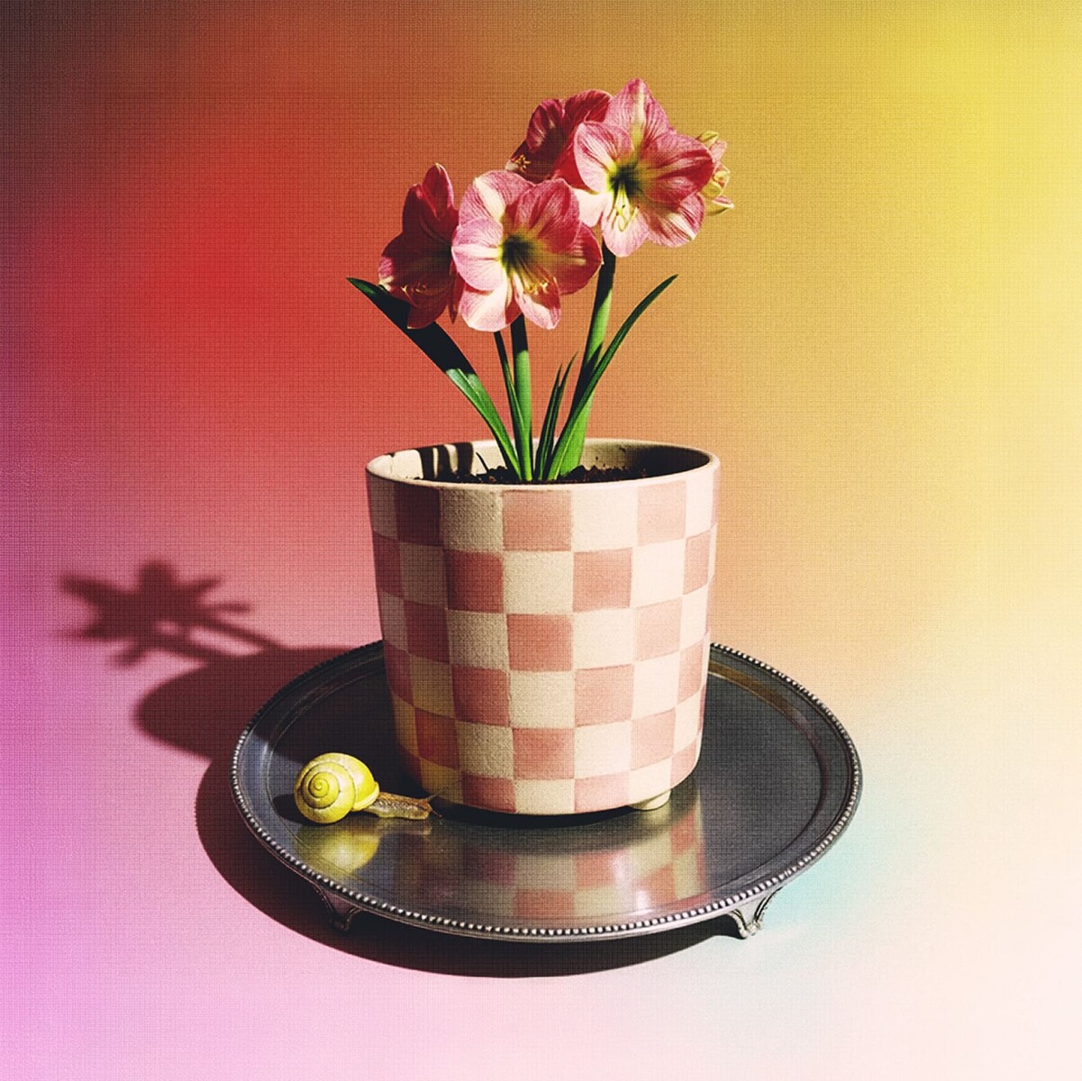 Maceta de cerámica Damero - rosa 