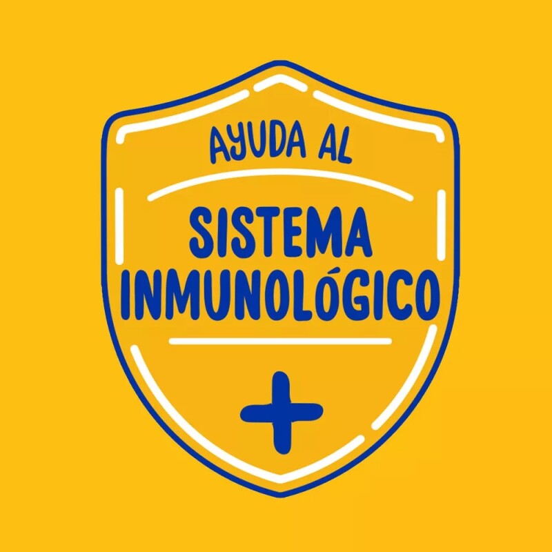 PEDIGREE PERROS ADULTOS 21 KG