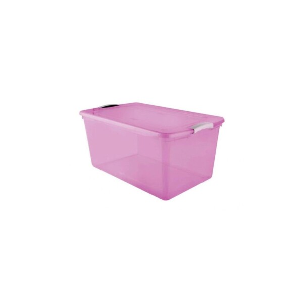 CAJA PLASTICA WENBOX 61 LTS ROSA ROSA