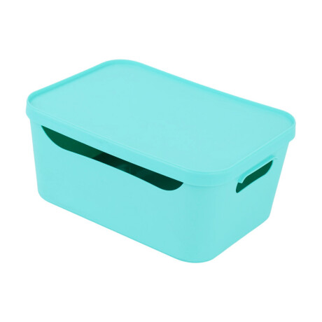 Contenedor de pastico Haixing con tapa y asas Contenedor de pastico Haixing con tapa y asas