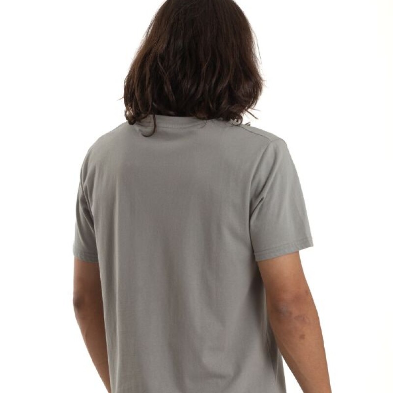 Remera Quiksilver Logo Gris