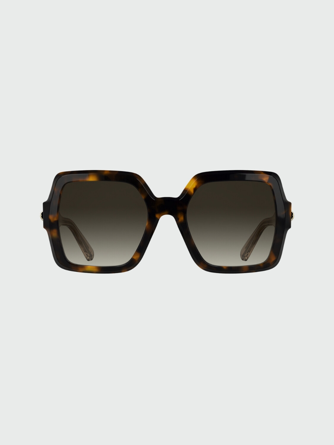 LONGCHAMP - Lentes de Sol L59