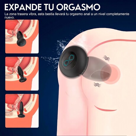 Plug Anal Vibrador con Control Austin Plug Anal Vibrador con Control Austin