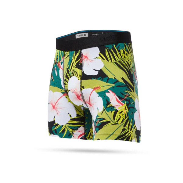 Boxer Stance Alonso Negro