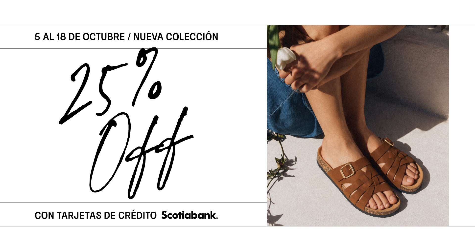 25% crédito Paddock
