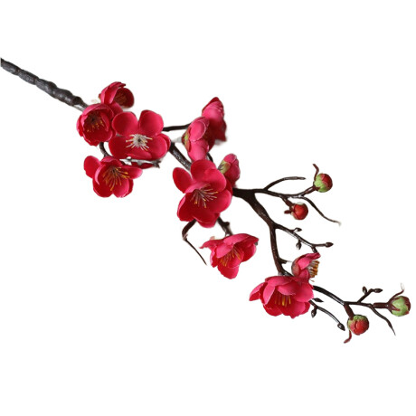 Rama De Cerezo En Flor Fucsia