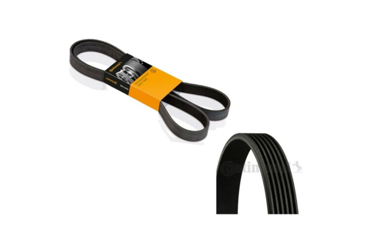 10PK1145 Correa de Accesorios Continental 10PK1145 Correa de Accesorios Continental