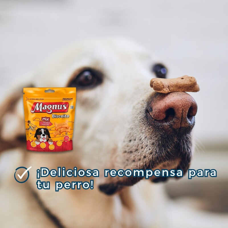 GALLETAS MAGNUS 1 KG GALLETAS MAGNUS 1 KG
