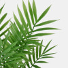 PLANTA ARTIF C/MACETERO 9X27CM Unica